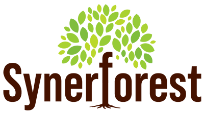 SynerForest