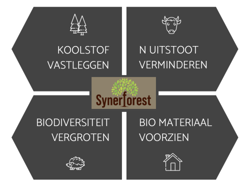 Oplossingen Synerforest